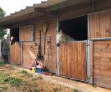  Propri&eacute;t&eacute; Equestre dans le 77 nord a vendre