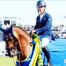 Jument d'&eacute;levage &agrave; vendre. ❗️Top g&eacute;n&eacute;tique ❗️