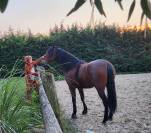 PRE 4 ans cherche sa famille 