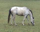 4 ans &agrave; vendre