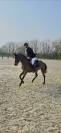 Ponette de sport - 5 ans - D - PFS