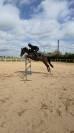 Ponette de sport - 5 ans - D - PFS