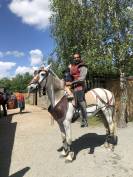 Hongre &agrave; vendre 