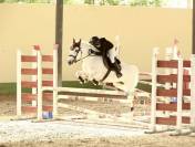 Glasson Cascade Pony 14 anni h. 149 cm FEI