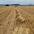 LOCATION STRUCTURE PENSIONS ET PRODUCTION PAILLE FOIN