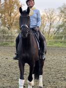 Cheval dressage top origine