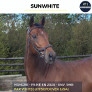 SUNWHITE - PS - 6 ANS 