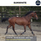 SUNWHITE - PS - 6 ANS 