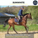 SUNWHITE - PS - 6 ANS 