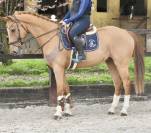 SUPERBE HONGRE MA&Icirc;TRE D &Eacute;COLE 