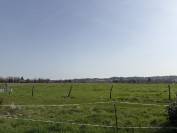 Pension pr&egrave;s box - 01480 Jassans Riottier