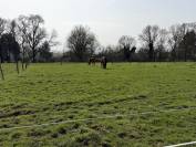 Pension pr&egrave;s box - 01480 Jassans Riottier