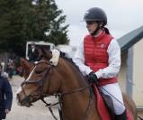 Poney &agrave; vendre 