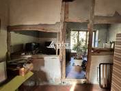 Ancienne ferme de ch&acirc;teau avec nombreux b&acirc;timents et environ 2