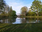 Propri&eacute;t&eacute; 6 hectares -       Sury pr&egrave;s L&eacute;r&eacute; , Centre