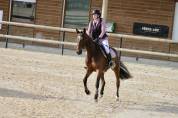 Jument de 4ans CSO 