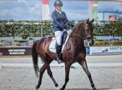 Brave dressuurruin van All at Once met wedstrijdervarin