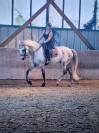 Cheval