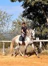 Cheval