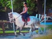 Cheval