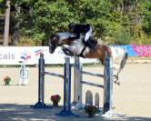 Selle Fran&ccedil;ais pie cr&egrave;me et isabelle / Eldorado Van de 