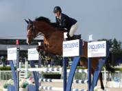 Hongre - BWP - 13 ans 