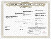 QUARTER HORSE PP FONDATION - TOP MENTAL - 2 ANS - DISPO