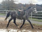 Male 4 ans Catchar mail x Casano