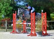 Ponette de sport Connemara Part Bred