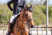 &Agrave; vendre 