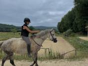 Petite jument pfs/connemara