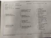 Purosangue arabo maschio 4 anni &ndash; domato, pronto al lav