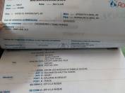 a vendre pur sang arabe 