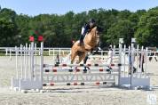 Jument akhal-teke 9 ans
