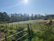 Propri&eacute;t&eacute; &eacute;questre 