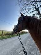 Demi pension de Wiri