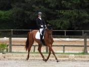 KALINE DE CASTELNAU, JUMENT 6 ANS, ALEZANE, COMPETITION