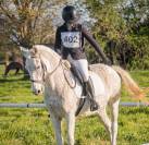 &Agrave; vendre grand poney 