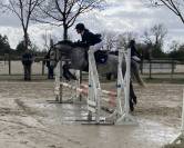 Minoss de Lalande pfs 4 ans hongre