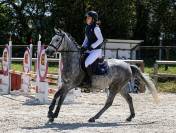 Ruin Franse rijpony PFS Te koop 2022 Schimmel