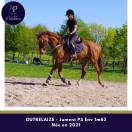 Jolie jument 5 ans bon coup de saut