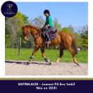 Jolie jument 5 ans bon coup de saut