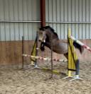 PFS coup de c&oelig;ur assur&eacute; 