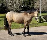 PFS coup de c&oelig;ur assur&eacute; 