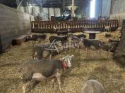 B&acirc;timent d'exploitation