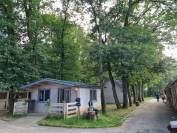 Propri&eacute;t&eacute; Equestre dans le 28 en proximit&eacute; de 78