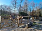 Propri&eacute;t&eacute; Equestre dans le 28 en proximit&eacute; de 78