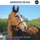 ARMISTICE DE MAI - PS - 5 ANS
