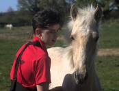 Pouliche 2025, palomino, n&eacute;es de parents lusitaniens