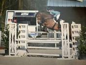 Superbe Jument 9 ans 